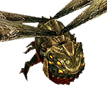 Ghost Bug